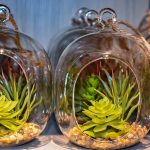 Plantes artificielles