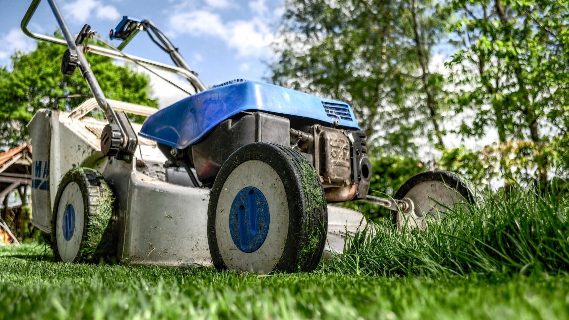Préparez votre jardin pour le printemps !